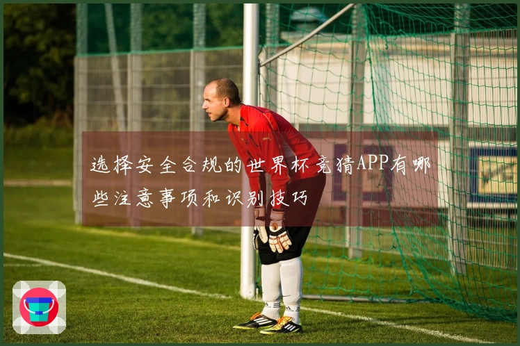 选择安全合规的世界杯竞猜APP有哪些注意事项和识别技巧