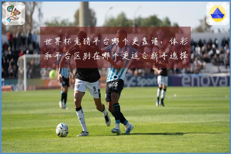 世界杯竞猜平台哪个更靠谱，体彩和平台区别在哪个更适合新手选择