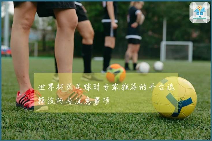 世界杯买足球时专家推荐的平台选择技巧与注意事项